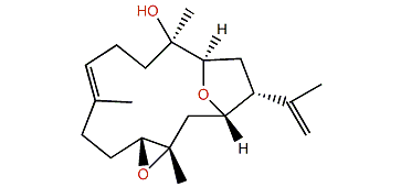 Lobophylin G